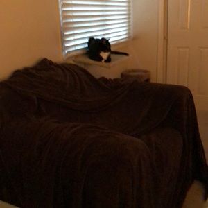 Meet your Posher, Susan